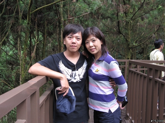 平鎮大桐半日遊