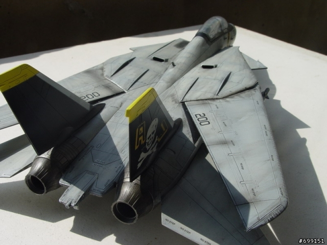 [分享] 總算完成的1/48富士貓  F-14A