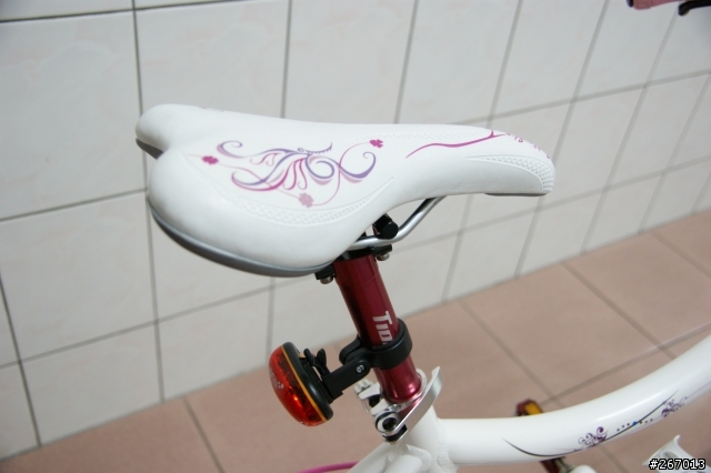 我的第一部女王車 ASTER CURVY 遲到的開箱...