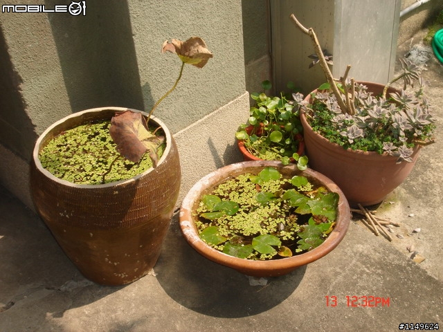 [活動]台中酒廠的台灣設計博覽會~讚喔(已附圖)