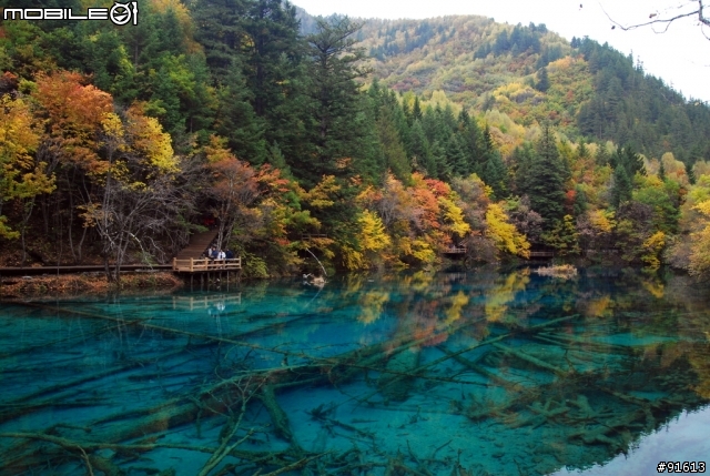 [分享-九寨溝] 絕塵九寨水如仙---峨眉樂山蜀中行