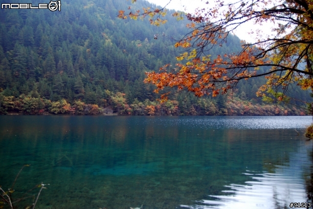 [分享-九寨溝] 絕塵九寨水如仙---峨眉樂山蜀中行