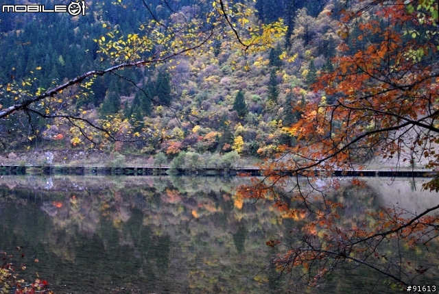 [分享-九寨溝] 絕塵九寨水如仙---峨眉樂山蜀中行