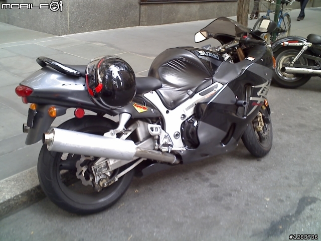 隼Hayabusa  - 改很大 -同場加映: 在洛克斐勒中心遇見的隼