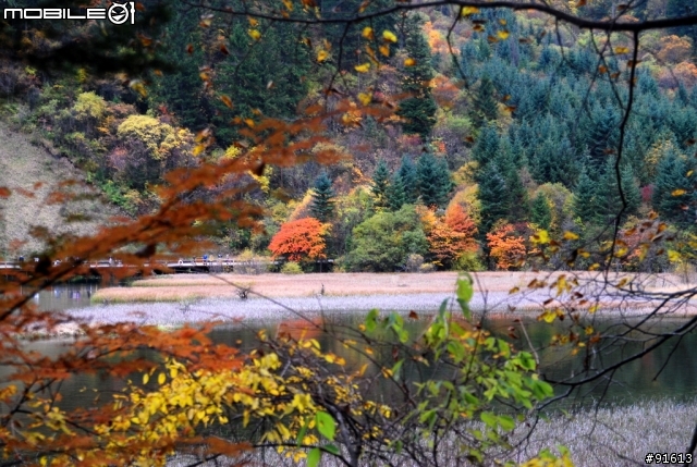 [分享-九寨溝] 絕塵九寨水如仙---峨眉樂山蜀中行