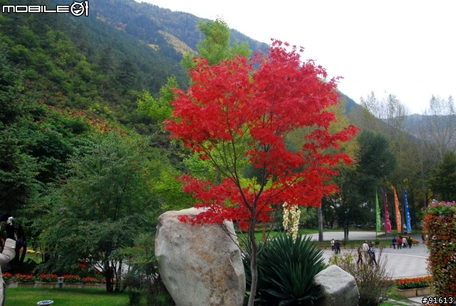 [分享-九寨溝] 絕塵九寨水如仙---峨眉樂山蜀中行