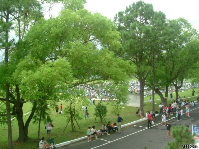 圖多 2009百事特盃全國小鐵人錦標賽花絮