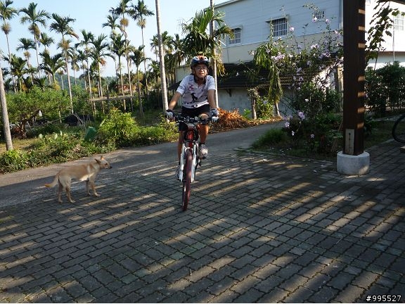 ﹝約騎﹞雲林塔可自行車隊-980926龍王山相片