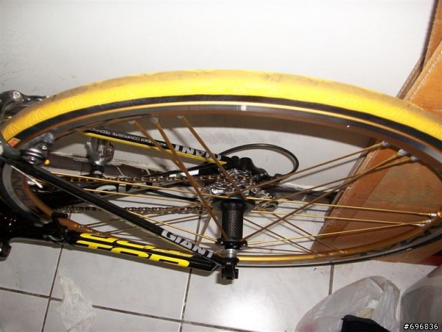 分享我的新輪組Campagnolo shamal金色瞎貓