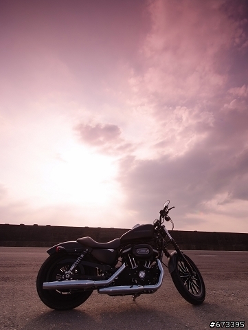 Daddy, I bought a Harley...... 哈雷 XL883 Iron 開箱....
