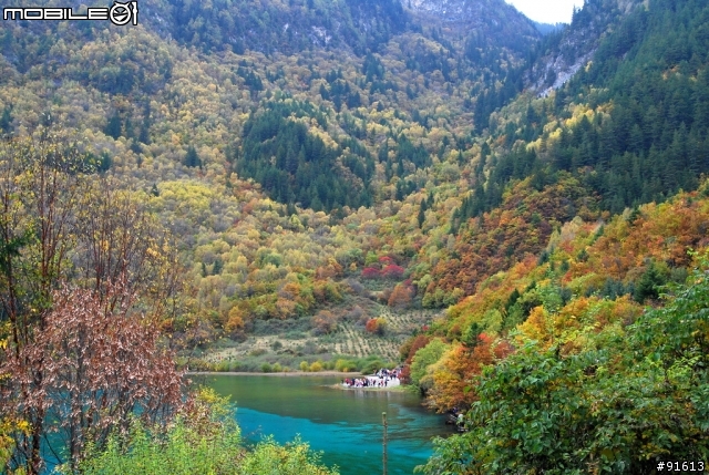 [分享-九寨溝] 絕塵九寨水如仙---峨眉樂山蜀中行
