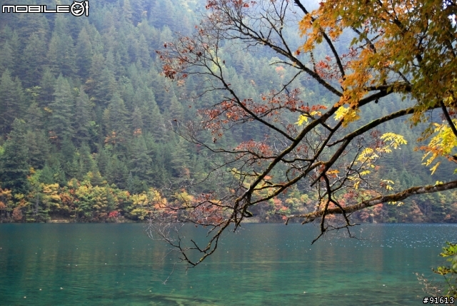 [分享-九寨溝] 絕塵九寨水如仙---峨眉樂山蜀中行
