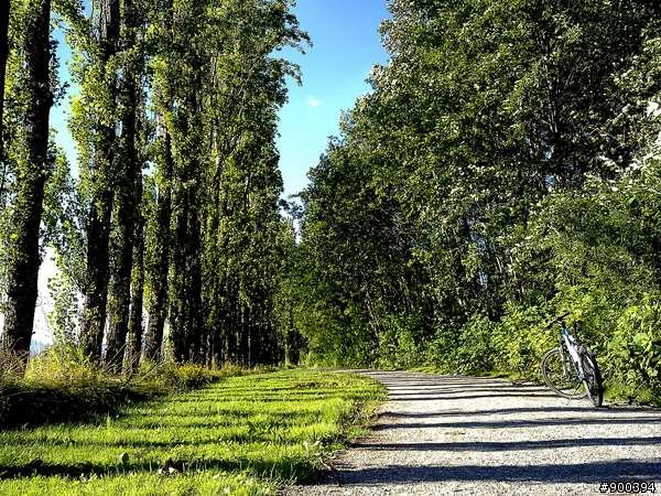 最終回-溫哥華本那比Burnaby公園單車獨遊