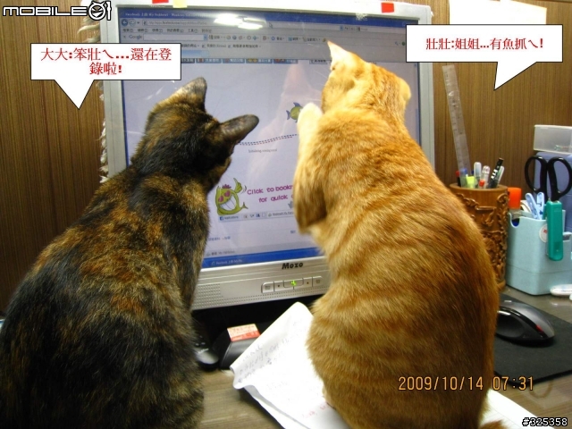 你開心...喵也開心!