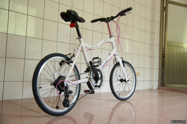 我的第一部女王車 ASTER CURVY 遲到的開箱...