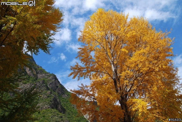 [分享-九寨溝] 絕塵九寨水如仙---峨眉樂山蜀中行