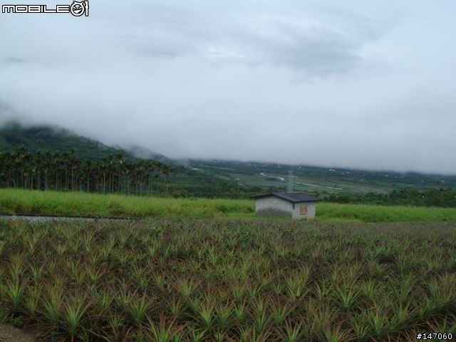 火車環島便當之旅