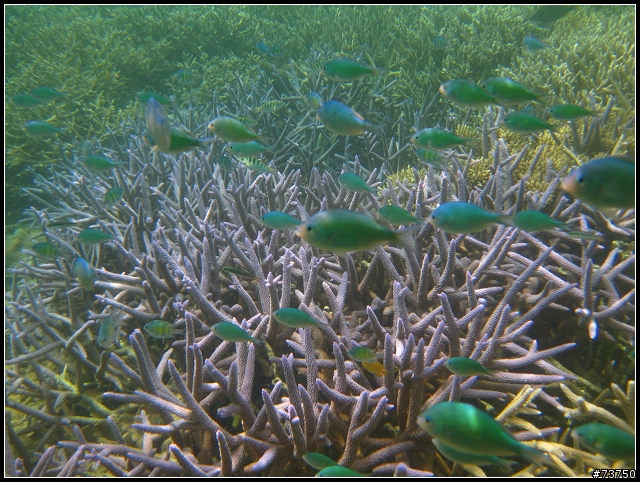 漂亮到不行的帛琉-PALAU