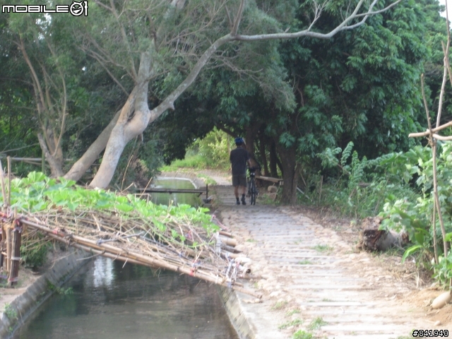走在半山腰的知高圳(成功~追分路線分享]