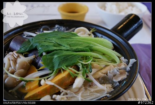 狗寶貝[柯基.臘腸] 苗栗頭屋--薰衣草森林(明德店)