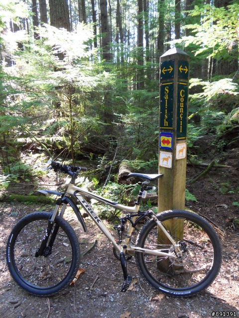 2009 Trek Fuel EX 5.5 黃金戰駒分享文