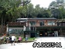10月10號 雪見~遲到之旅  (後半段已補文 可收看了)