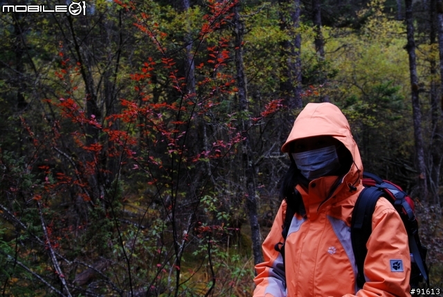 [分享-九寨溝] 絕塵九寨水如仙---峨眉樂山蜀中行