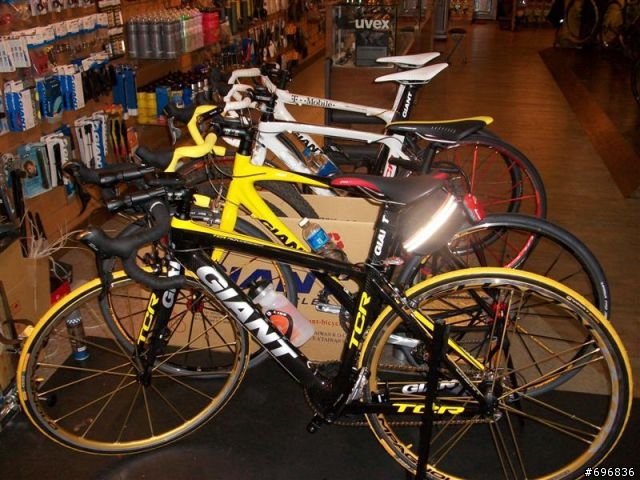 分享我的新輪組Campagnolo shamal金色瞎貓
