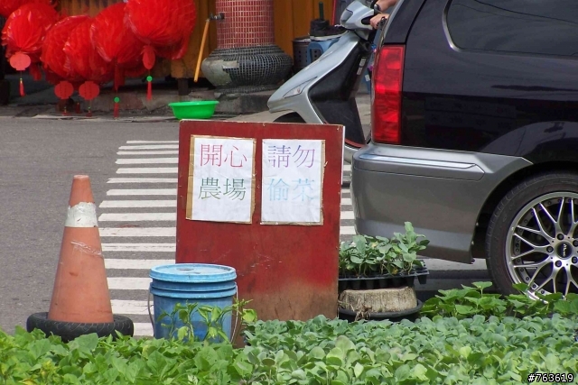 ~~開心農場,請勿偷菜~~