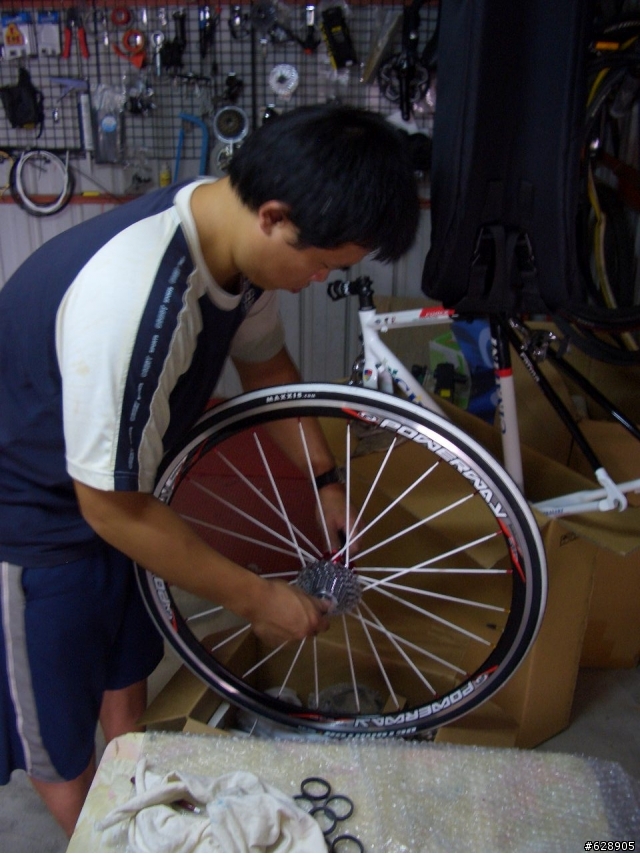 (開箱文) [儉]約奢華風.第一輛CINALINI自組公路車