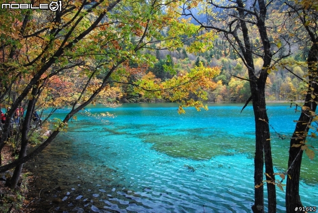 [分享-九寨溝] 絕塵九寨水如仙---峨眉樂山蜀中行