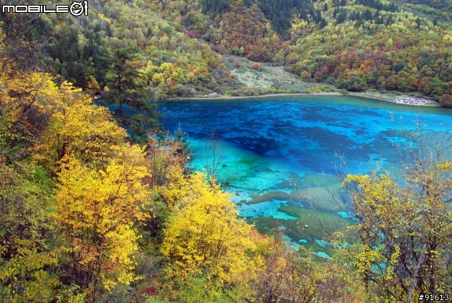 [分享-九寨溝] 絕塵九寨水如仙---峨眉樂山蜀中行