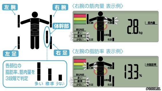 TANITA身體組成計BC-612
