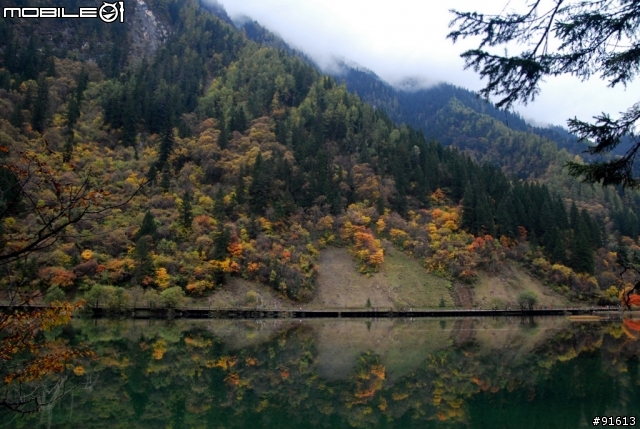[分享-九寨溝] 絕塵九寨水如仙---峨眉樂山蜀中行