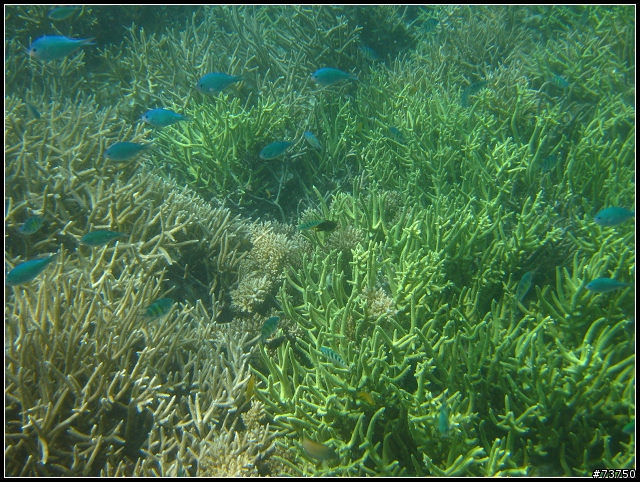 漂亮到不行的帛琉-PALAU