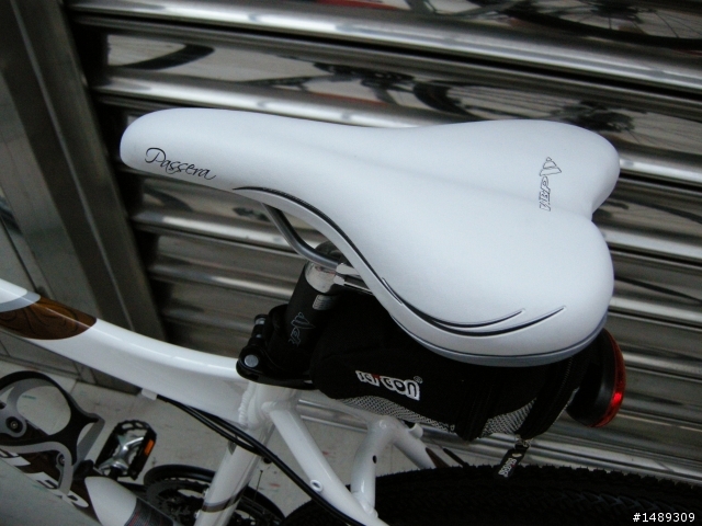 [分享]極不專業的新車分享 WHEELER PASSERA T55