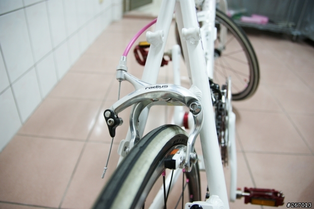 我的第一部女王車 ASTER CURVY 遲到的開箱...