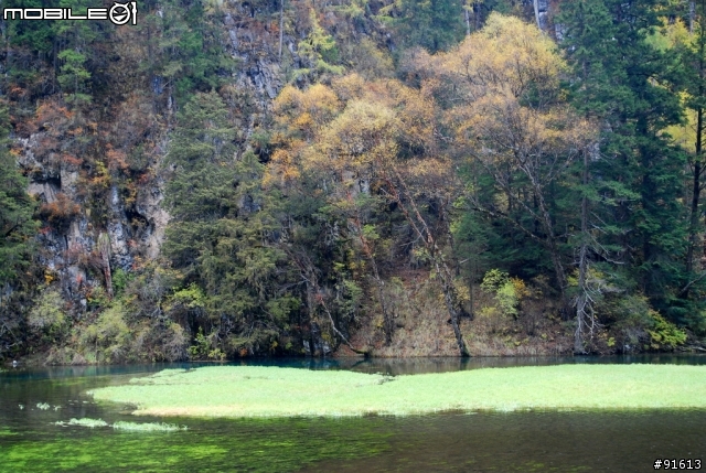 [分享-九寨溝] 絕塵九寨水如仙---峨眉樂山蜀中行