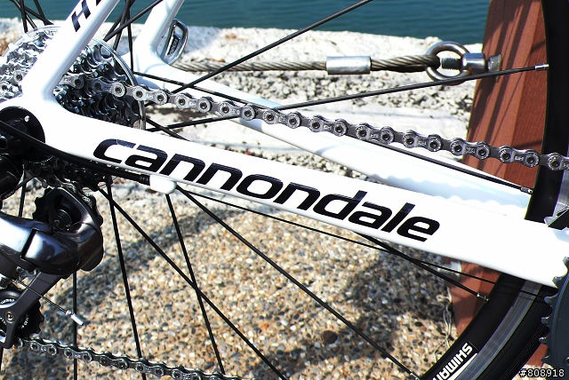 cannondale+DIADORA CAAD9 限量車架入手發表文
