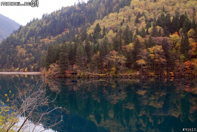 [分享-九寨溝] 絕塵九寨水如仙---峨眉樂山蜀中行