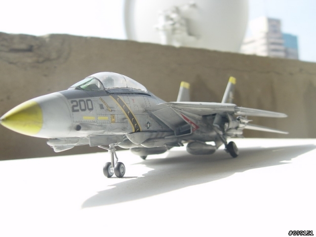 [分享] 總算完成的1/48富士貓  F-14A