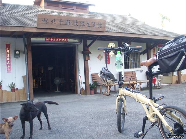 出發吧 ，帶著我的小折環島去