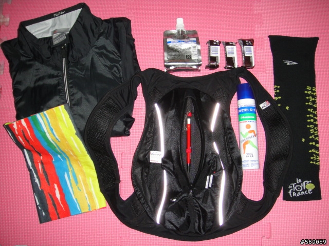 《分享》輕巧的公路車背包 Assos DB Spider Bag 蜘蛛包