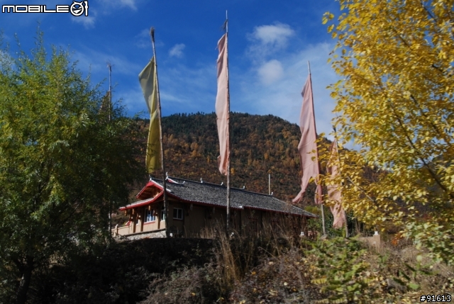 [分享-九寨溝] 絕塵九寨水如仙---峨眉樂山蜀中行