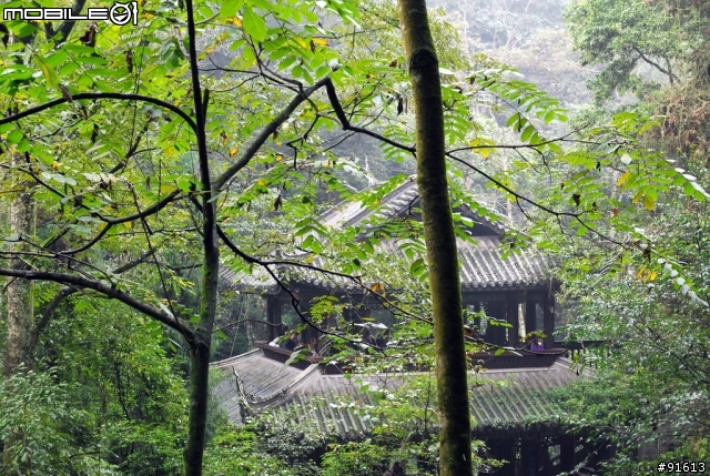 [分享-九寨溝] 絕塵九寨水如仙---峨眉樂山蜀中行