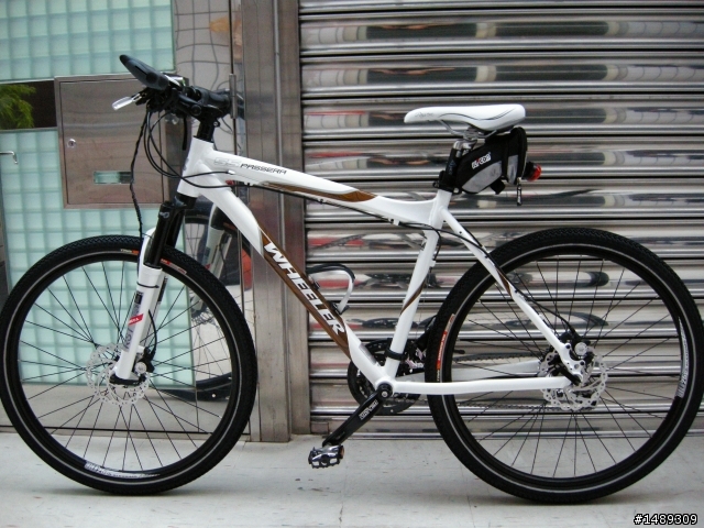 [分享]極不專業的新車分享 WHEELER PASSERA T55