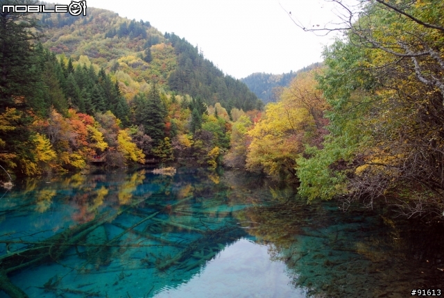 [分享-九寨溝] 絕塵九寨水如仙---峨眉樂山蜀中行