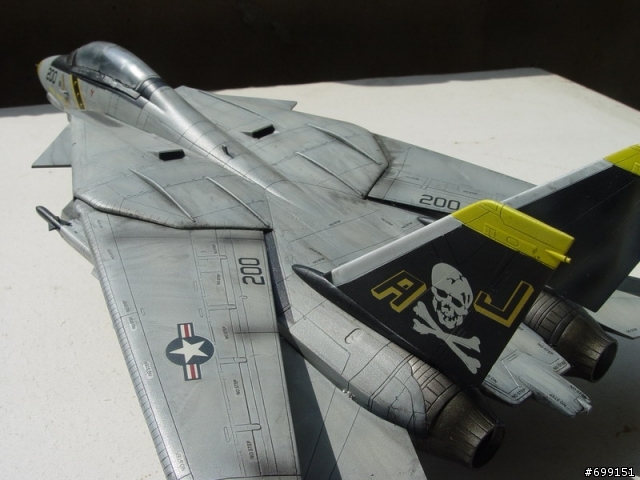 [分享] 總算完成的1/48富士貓  F-14A