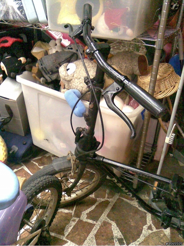 請問這台的型號 DAHON 16吋 （單速？）（被買走了…嗚嗚）