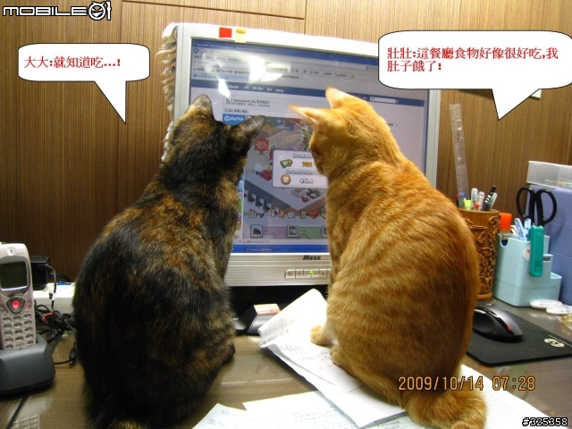 你開心...喵也開心!
